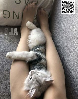 无bitch摄影社免费观看_高清在线观看电视
