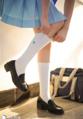 鹞子电视剧全集免费播放在线观看_完整版高清下载