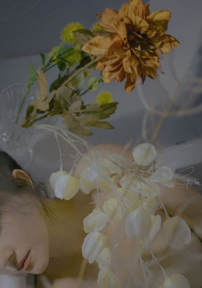 电视剧免费观看全集在线播放_DVD在线播放观看