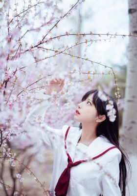 七星鲁王宫电视剧_高清版日韩电影在线