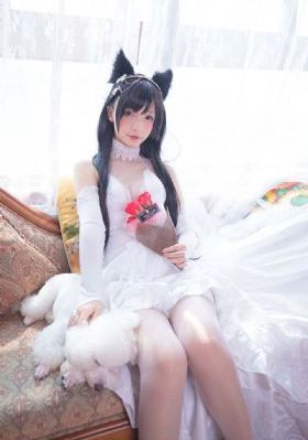 千金女贼电视剧全集免费观看_2022在线观看